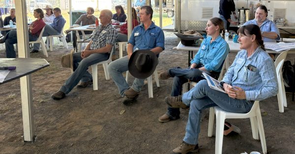 Laura forum puts Cape grazing in spotlight