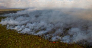 SMOKE ALERT: Oyala Thumotang National Park (26 May)