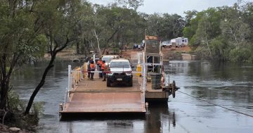 Sinking feeling ends for tourists, businesses as Jardine Ferry relaunched