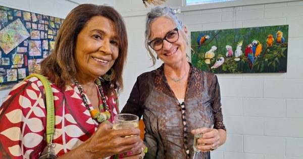 Country comes to life for 46th Cooktown Art Award