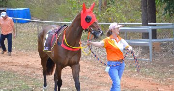 Cape York sport in brief: 17 June 2025