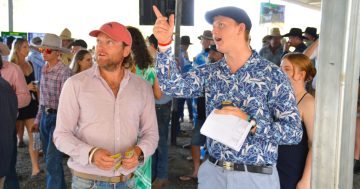 Barriers set to fly open for five-race Laura card