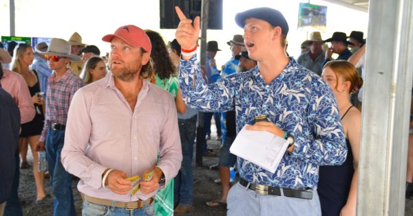 Barriers set to fly open for five-race Laura card