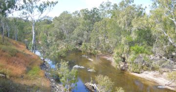 Water review should consider Cape trading potential: RDA Tropical North chair