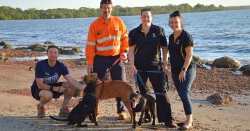 Weipa pair to pound PDR for marathon fundraising effort