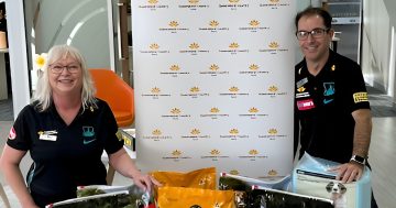 Puppy takeover at Weipa bank to find forever home