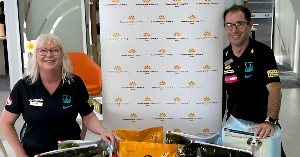 Puppy takeover at Weipa bank to find forever home