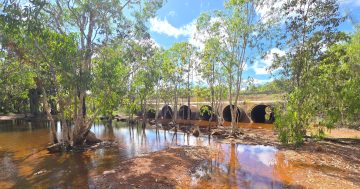 Nominations set Weipa up for 16 August by-election