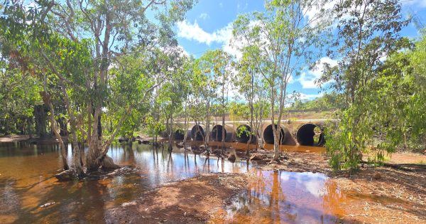Nominations set Weipa up for 16 August by-election