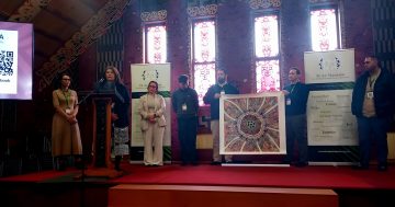 Cape artist shares culture at Maori dental celebration