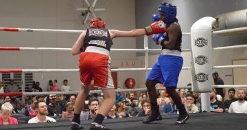Weipa boxing fans treated to fight spectacular