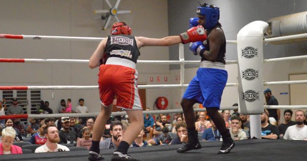 Weipa boxing fans treated to fight spectacular