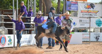 $13k Cape of Origin purse sets up rodeo showstopper