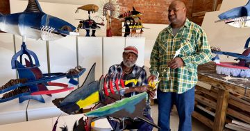 Powerful Erub duo to be CIAF highlight