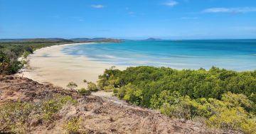 Cape York sport in brief: 12 August 2025