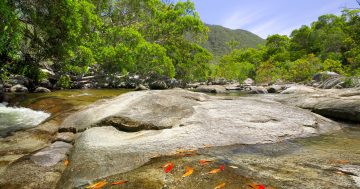 Have your say on state’s private protected areas