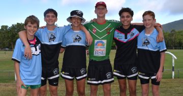 Crocs sink teeth into season as Sharks
