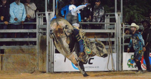 Competitors deliver bucking big performance for rodeo's anniversary