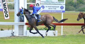 Tickets racing out door as Cooktown prepares to saddle up
