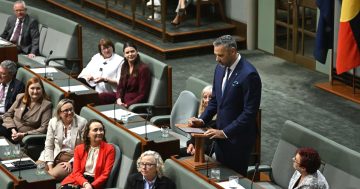 'Most Australian place in Australia': MP sells Leichhardt in maiden Canberra address