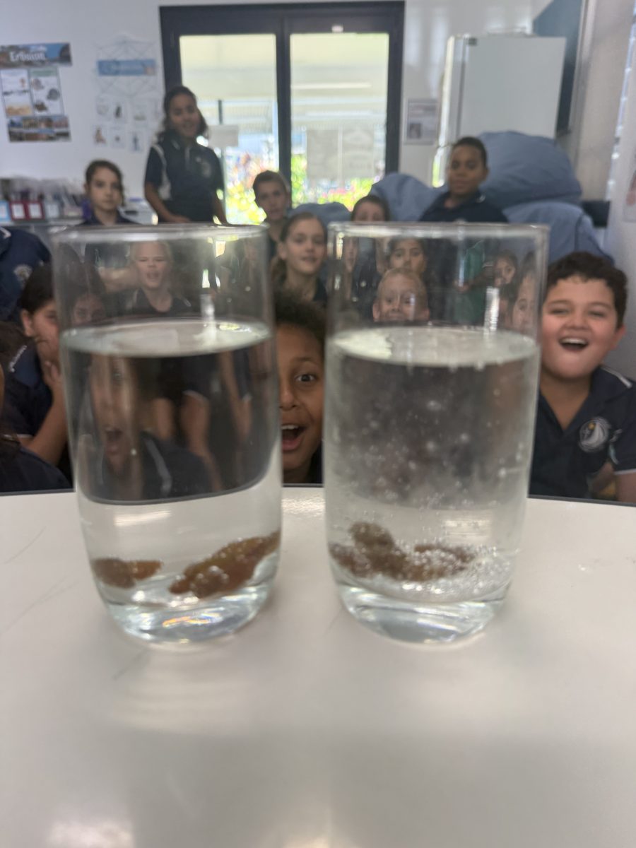 Dancing sultanas experiment