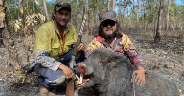 Nominations set to open for annual western Cape feral animal pursuit