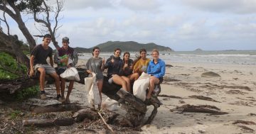 Young Cape leaders use holidays to take up conservation crusade