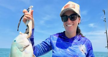 Weipa sends de Tournouer to WTA chamber