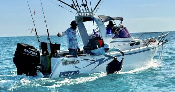 Anglers chomping at bit for Weipa billfish showdown