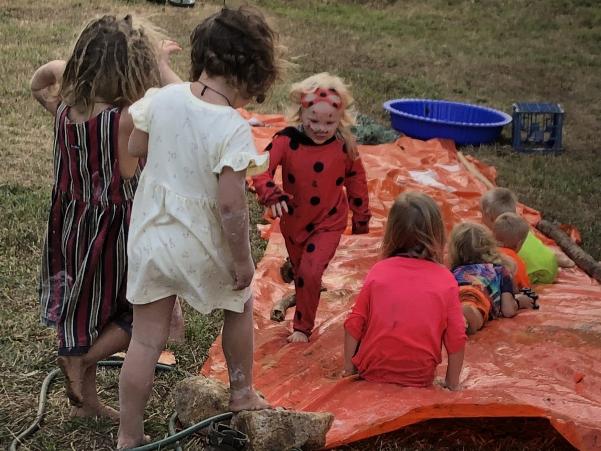 Wallaby Creek Festival children's festival