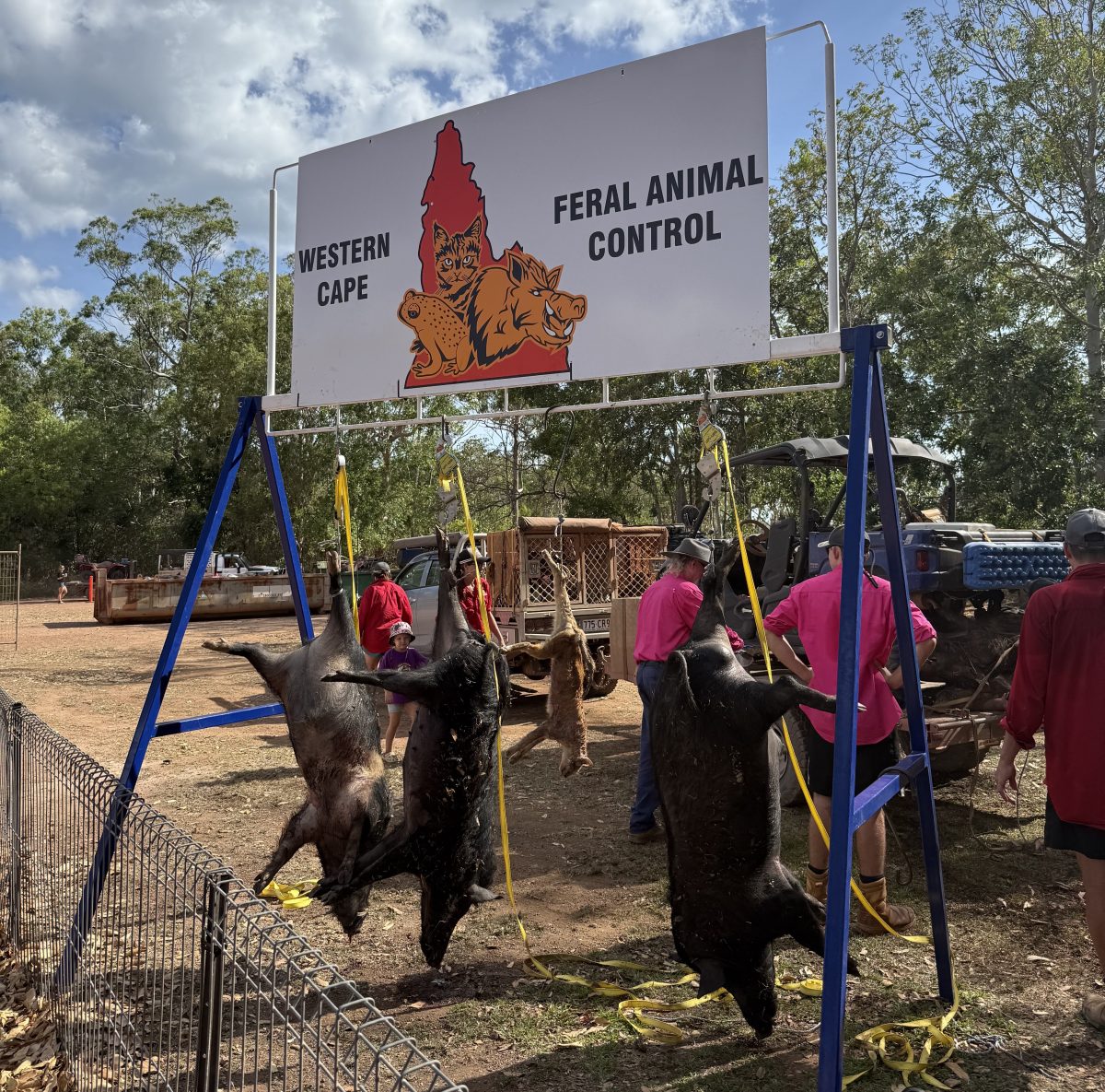 Western Cape Feral Animal Control