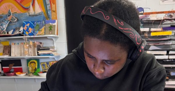 Young NPA artist dominates student art scene