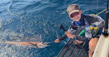 Weekend update: Billfishers embrace conditions in fight for Weipa bragging rights