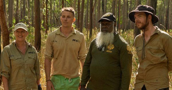 Cape team's national acclaim sharpens focus to save palm cockatoo