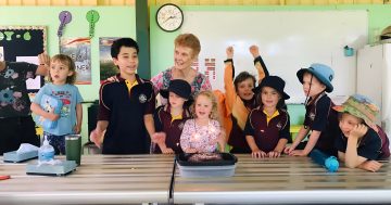 World Teachers' Day: Cape educators reflect on remote learning satisfaction