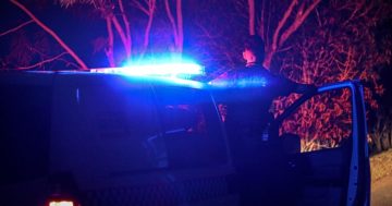 Pilot dies in Cape helicopter crash