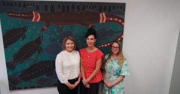 Quit program targets Closing the Gap