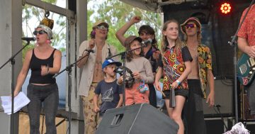 Wallaby Creek Festival fills forest with music, light and cabaret