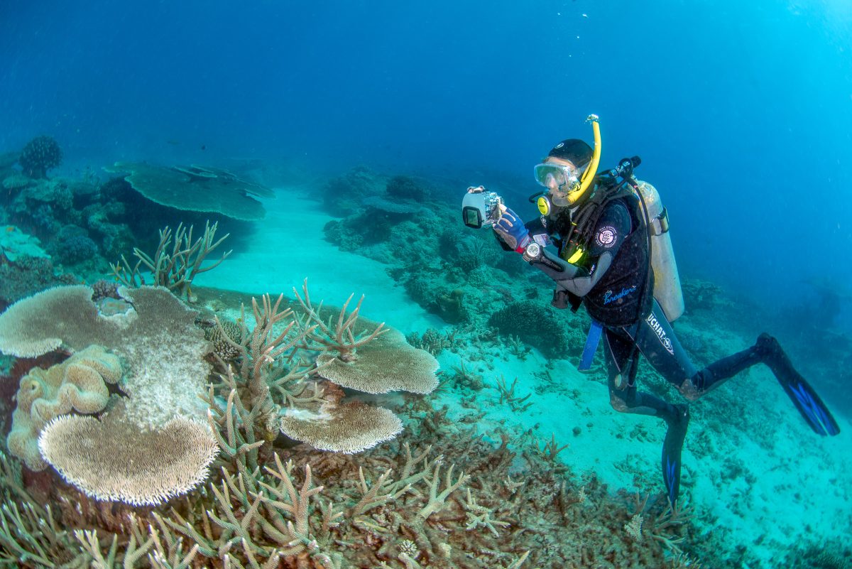 Scuba diver photographs a reef