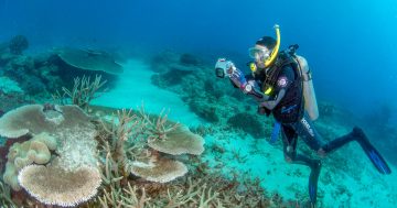 Weipa marine science nets million-dollar boost