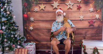 Let's fill Christmas stockings for Weipa shelter dogs