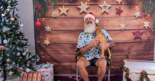 Let's fill Christmas stockings for Weipa shelter dogs