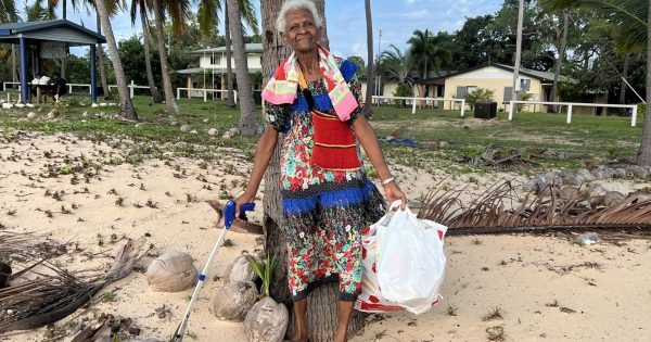 Volunteers pluck 47,255 pieces of marine debris in reef clean-up