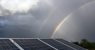 Three councils energised in $1m solar system outlay