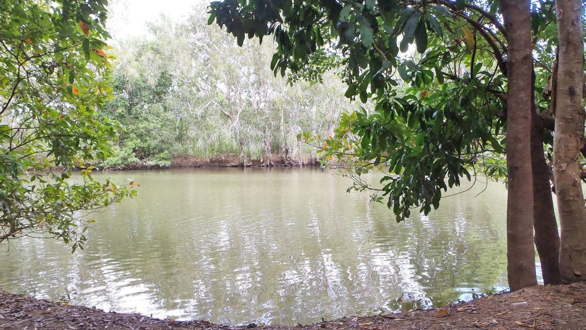 Rinyirru (Lakefield) National Park