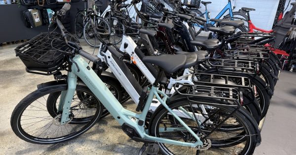 Putting an e-bike under the tree?