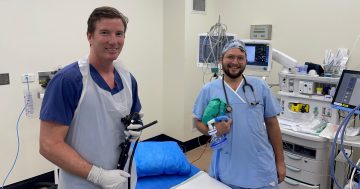 GPs return to deliver Cooktown endoscopy