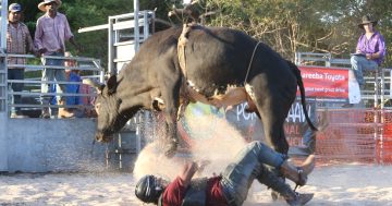 Another year of ups and downs ahead?