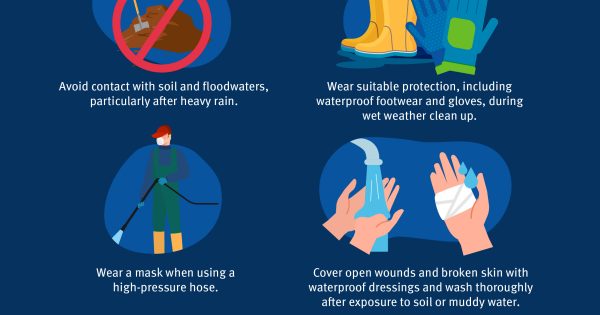 Melioidosis: Beware wet season killer