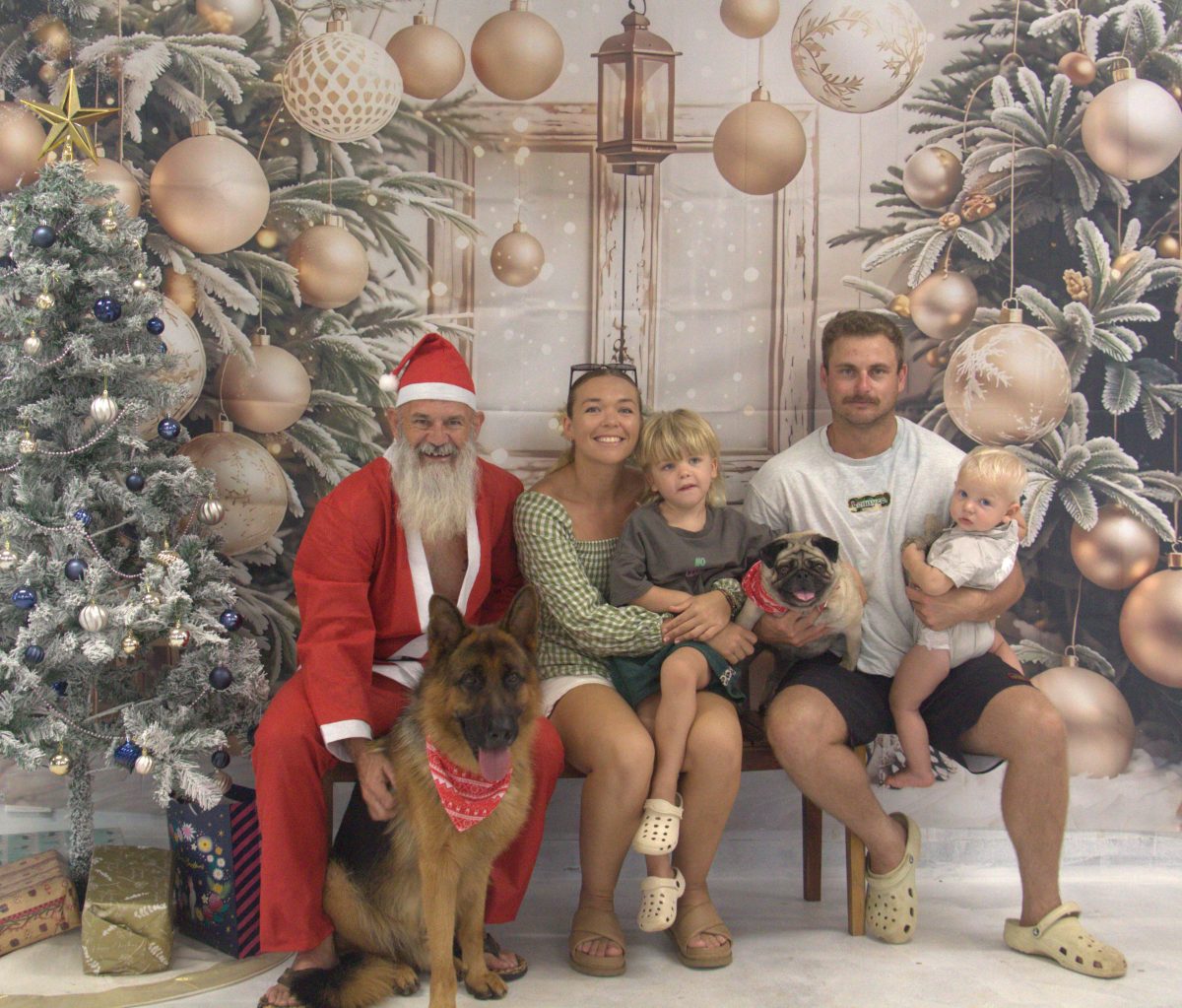 Carriage family Santa Paws photoshoot